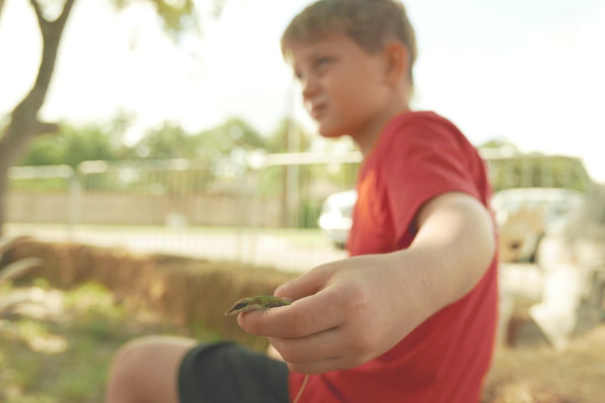 Pumpkin Patch Director’s son, Cylus, introduces his tiny reptile friend.
